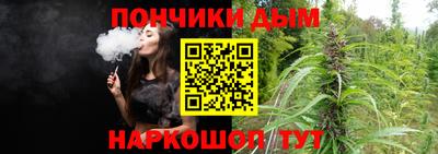 сатива Моздок