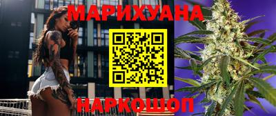сатива Моздок