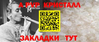 сатива Моздок