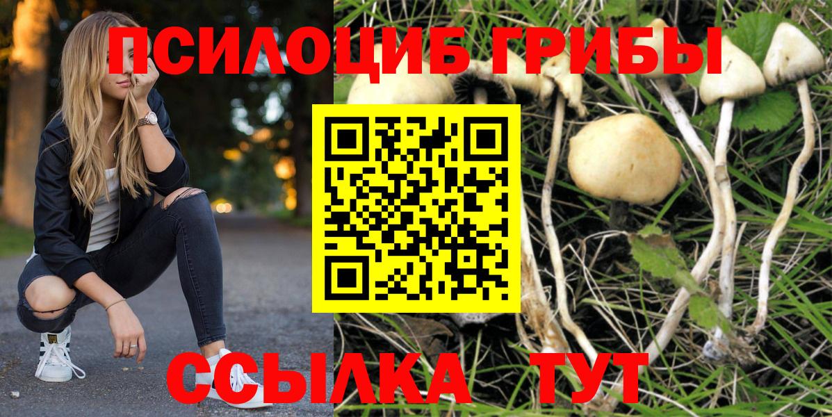 Галлюциногенные грибы Magic Shrooms Верхняя Пышма