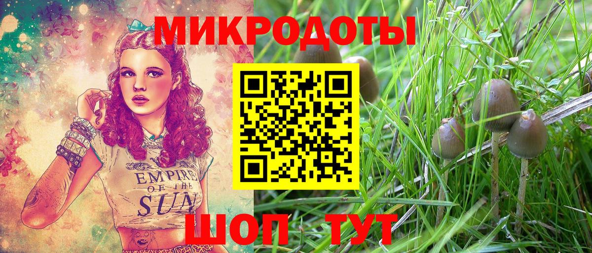 Верхняя Пышма  Псилоцибиновые грибы Psilocybe  Вход с VPN 